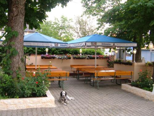 Assos Hotel Asbach-Baumenheim Екстер'єр фото